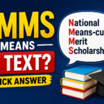 nmms-meaning-in-text